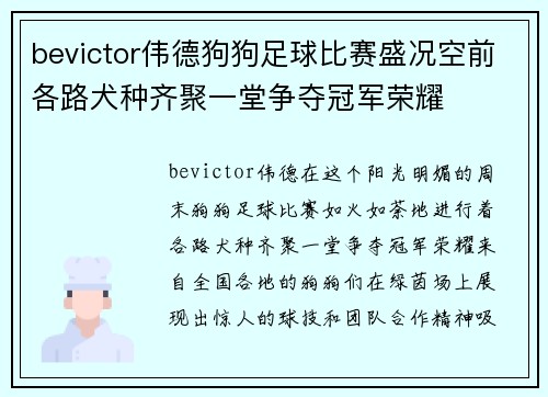 bevictor伟德狗狗足球比赛盛况空前各路犬种齐聚一堂争夺冠军荣耀